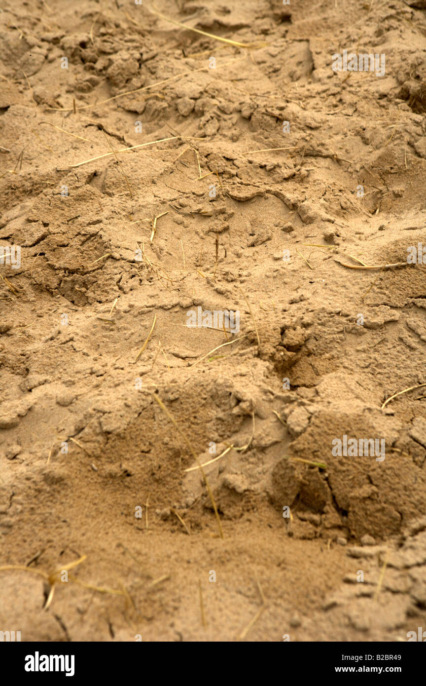 sand Stock Photo