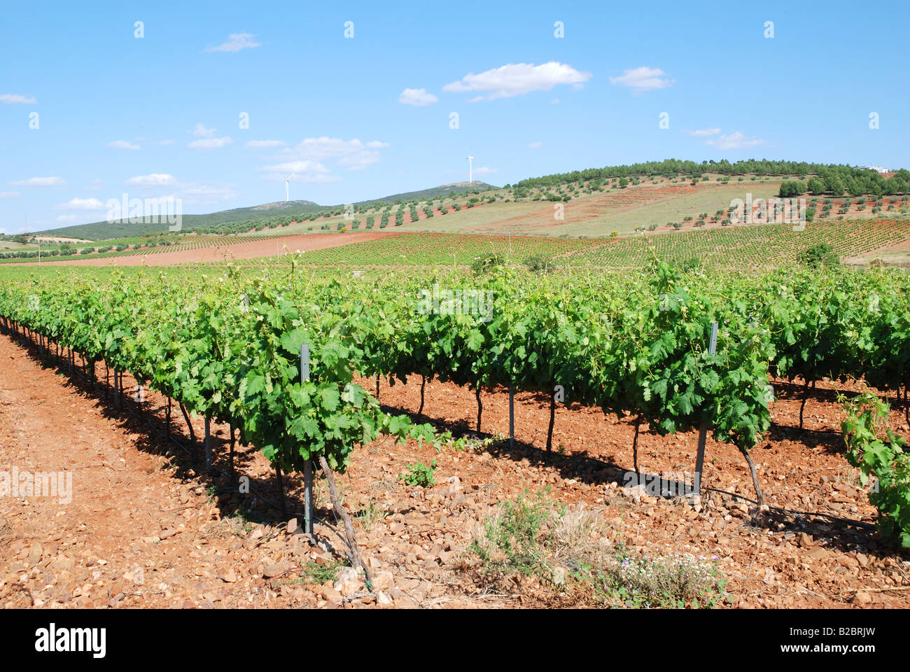 Valdepeñas spain hi-res stock photography and images - Alamy