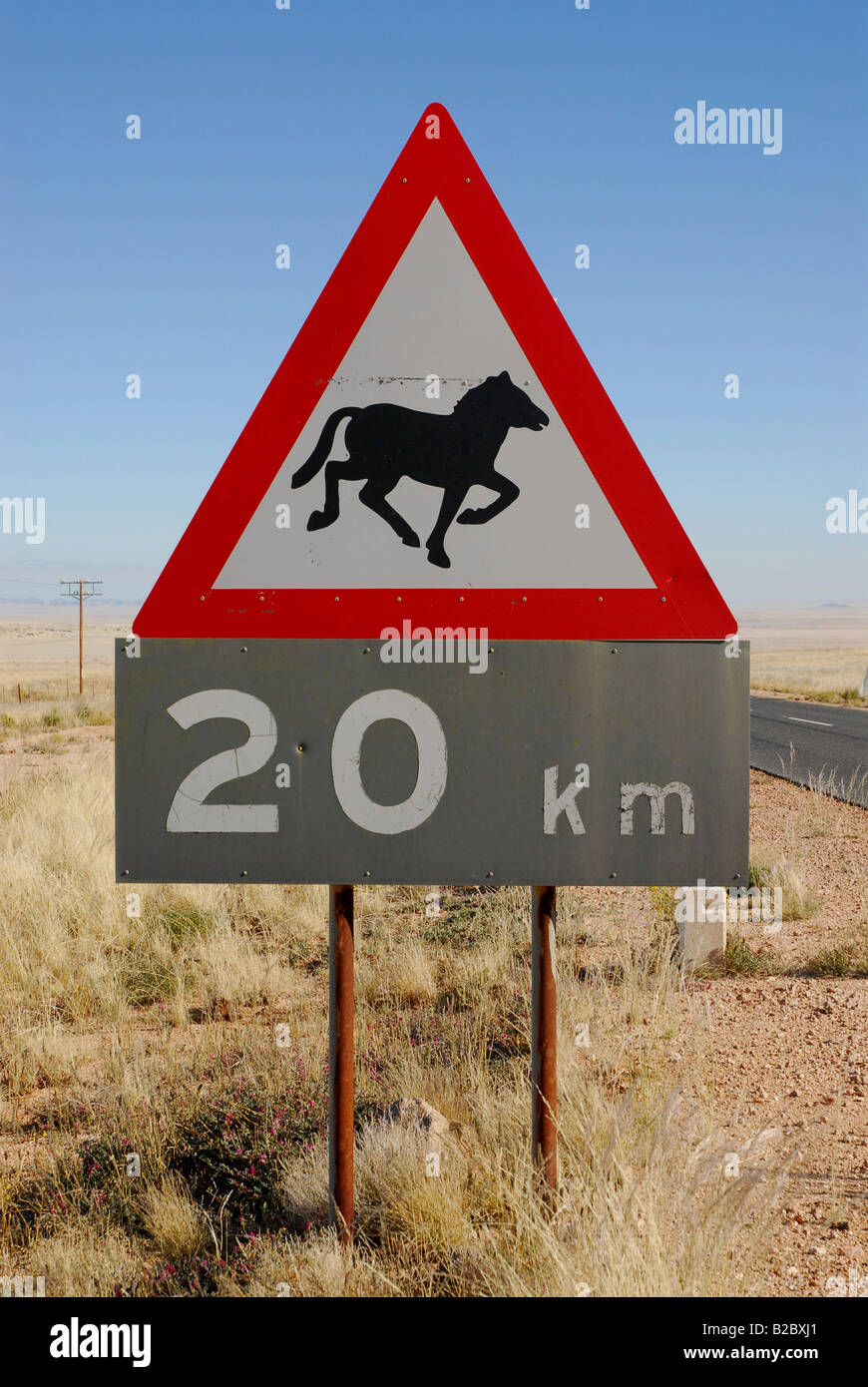 Road sign, beware of horses, horse crossing, near Garub, Namibia, Africa Stock Photo