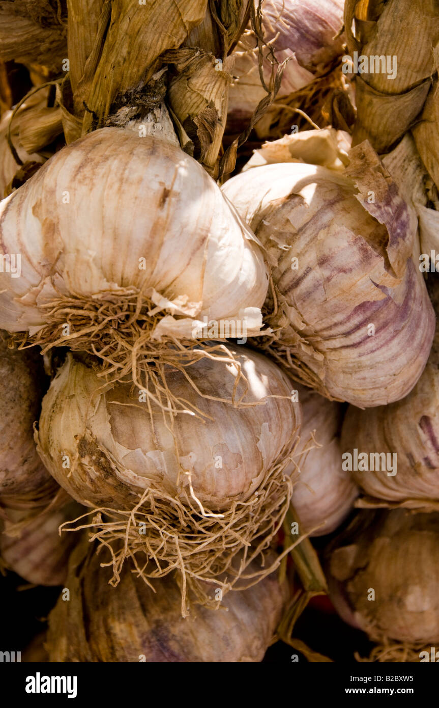 The display of garlic, Cours Saleya Market, Old Town of Nice, South France Stock Photo