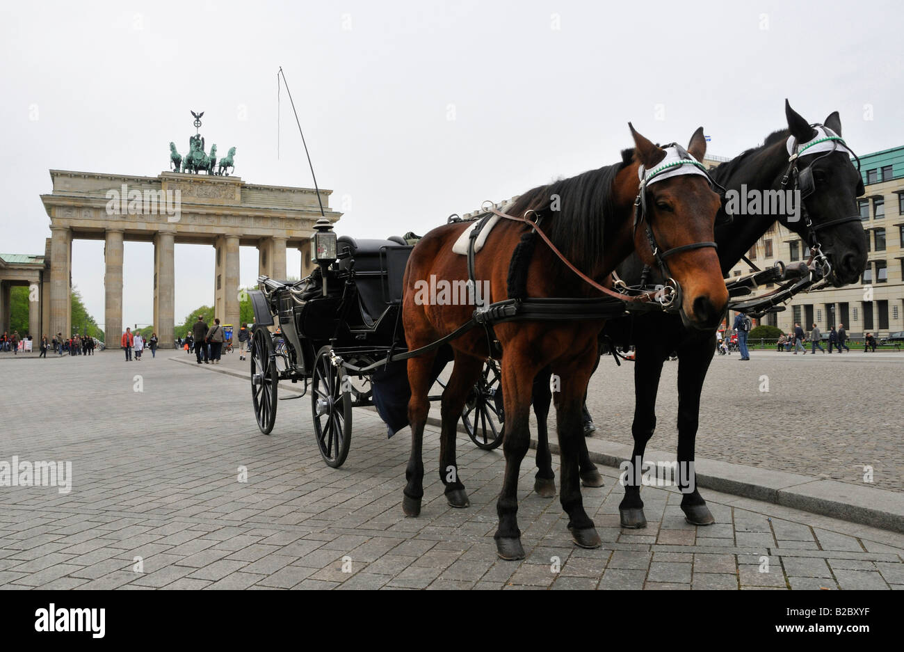 Horse-drawn carriage in front of the Brandenburger Tor, Pariser Platz Square, Berlin, Germany, Europe Stock Photo