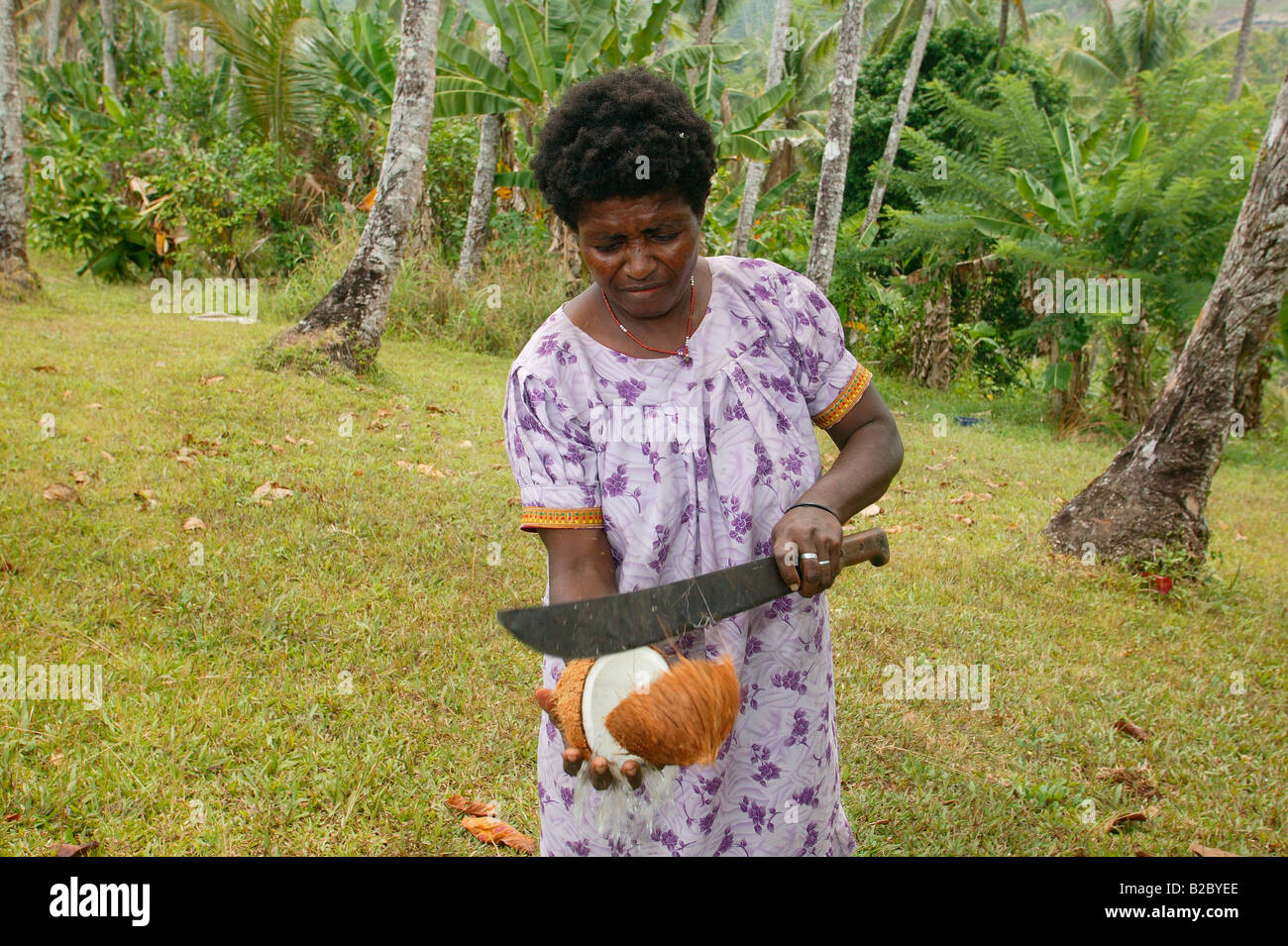 Woman splitting a coconut with a machete, Logaweng, Papua New Guinea, Melanesia Stock Photo