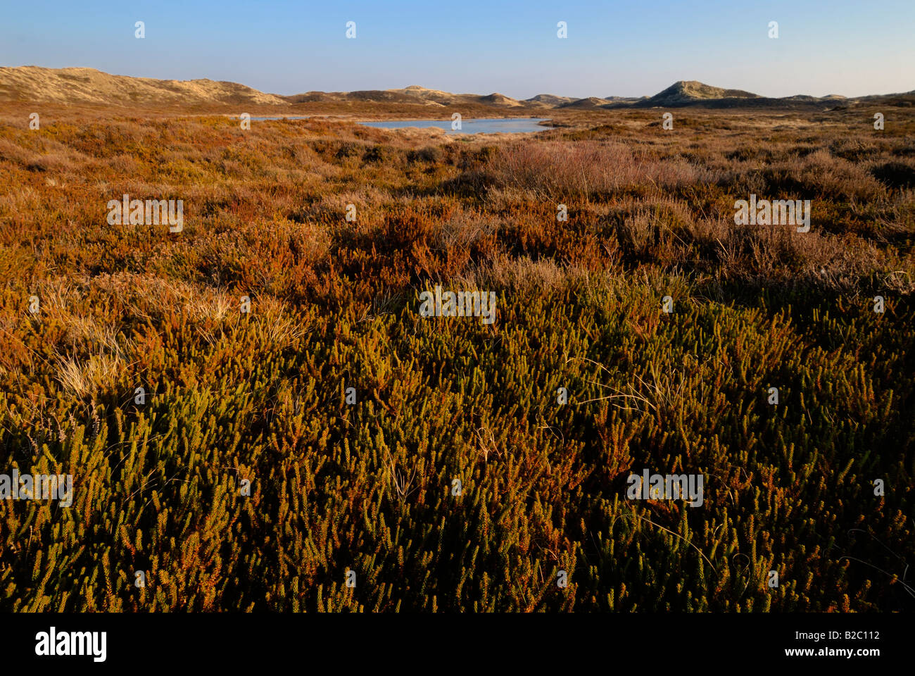 Humid hires stock photography and images Alamy