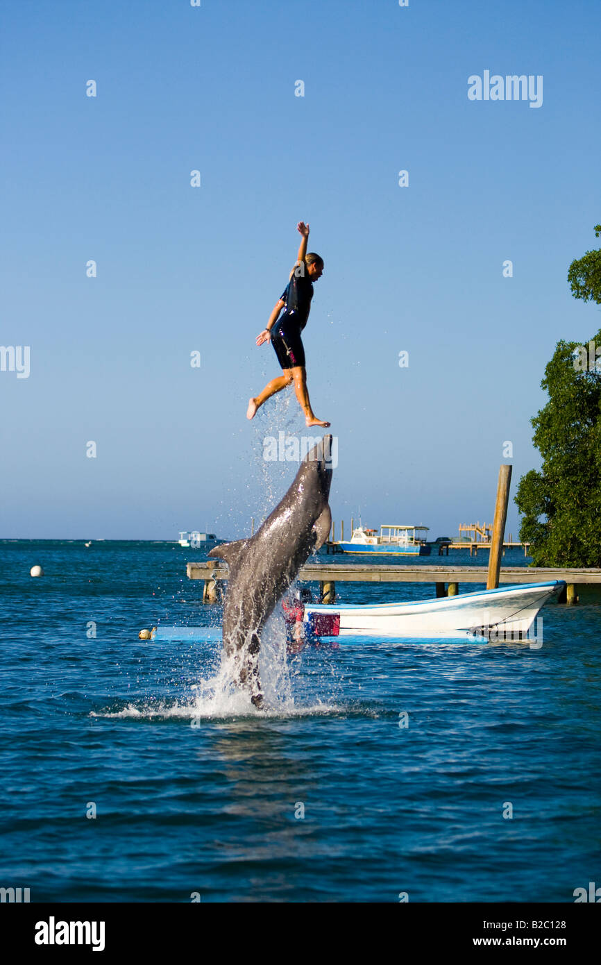 Dolphin trainer being pushed out of the water by a dolphin at a tourist
