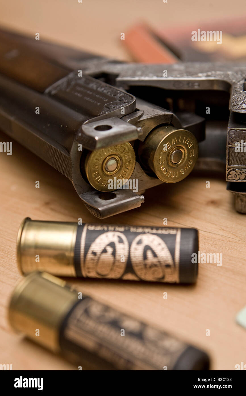 Hunting weapon, shotgun, long gun with engraving, shooting license and gun ownership license Stock Photo