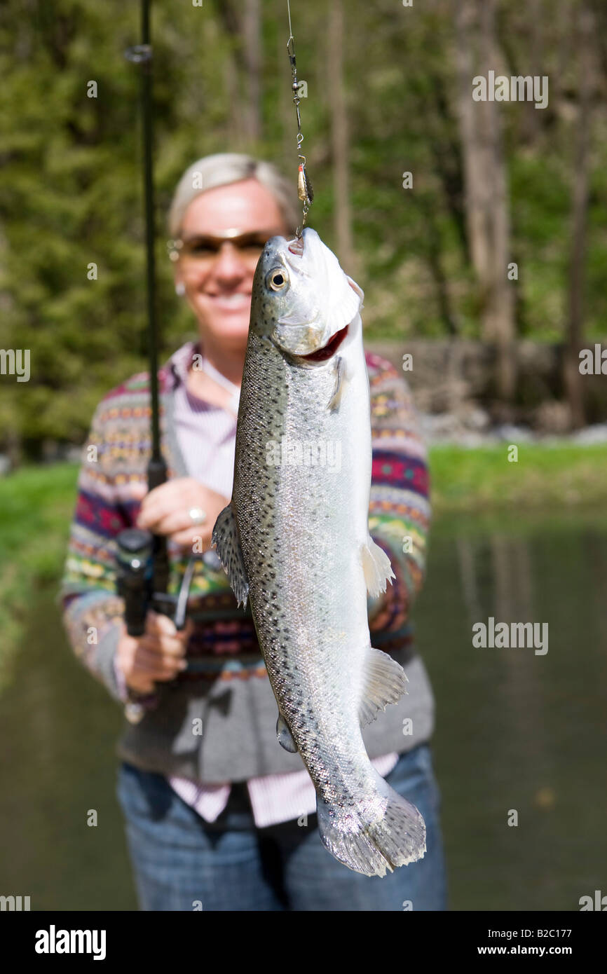 A freshly caught Rainbow Trout (Oncorhynchus mykiss) hanging on a rod, Styria, Austria, Europe Stock Photo