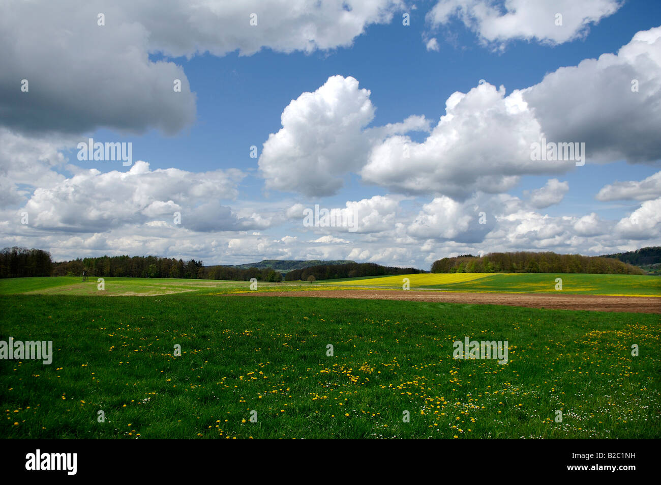 Franconian country side, Herpersdorf, Middle Franconia, Bavaria, Germany, Europe Stock Photo