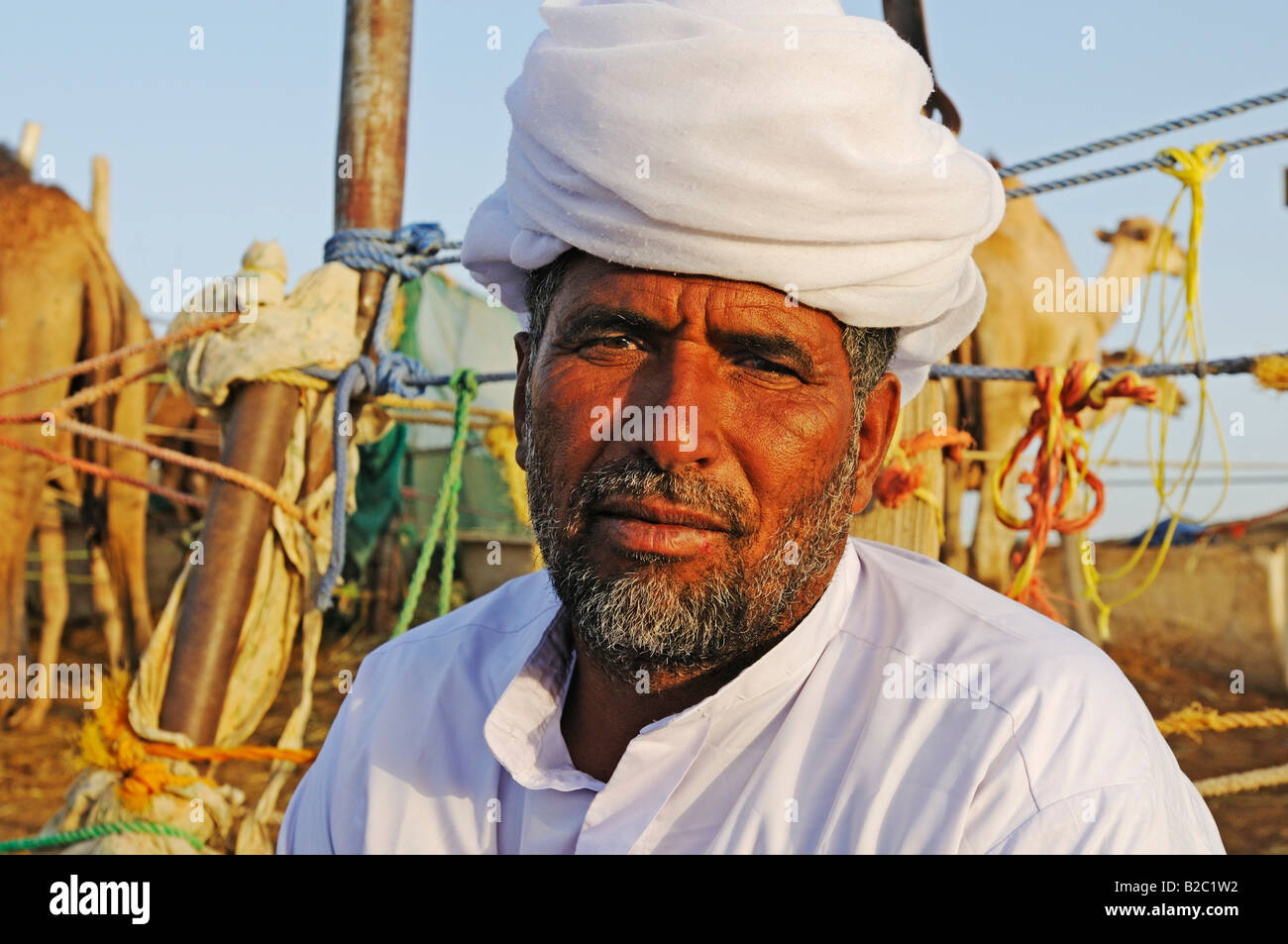 Camel merchant at the camel market, Al Ain, Abu Dhabi, United Arab Emirates, Asia Stock Photo