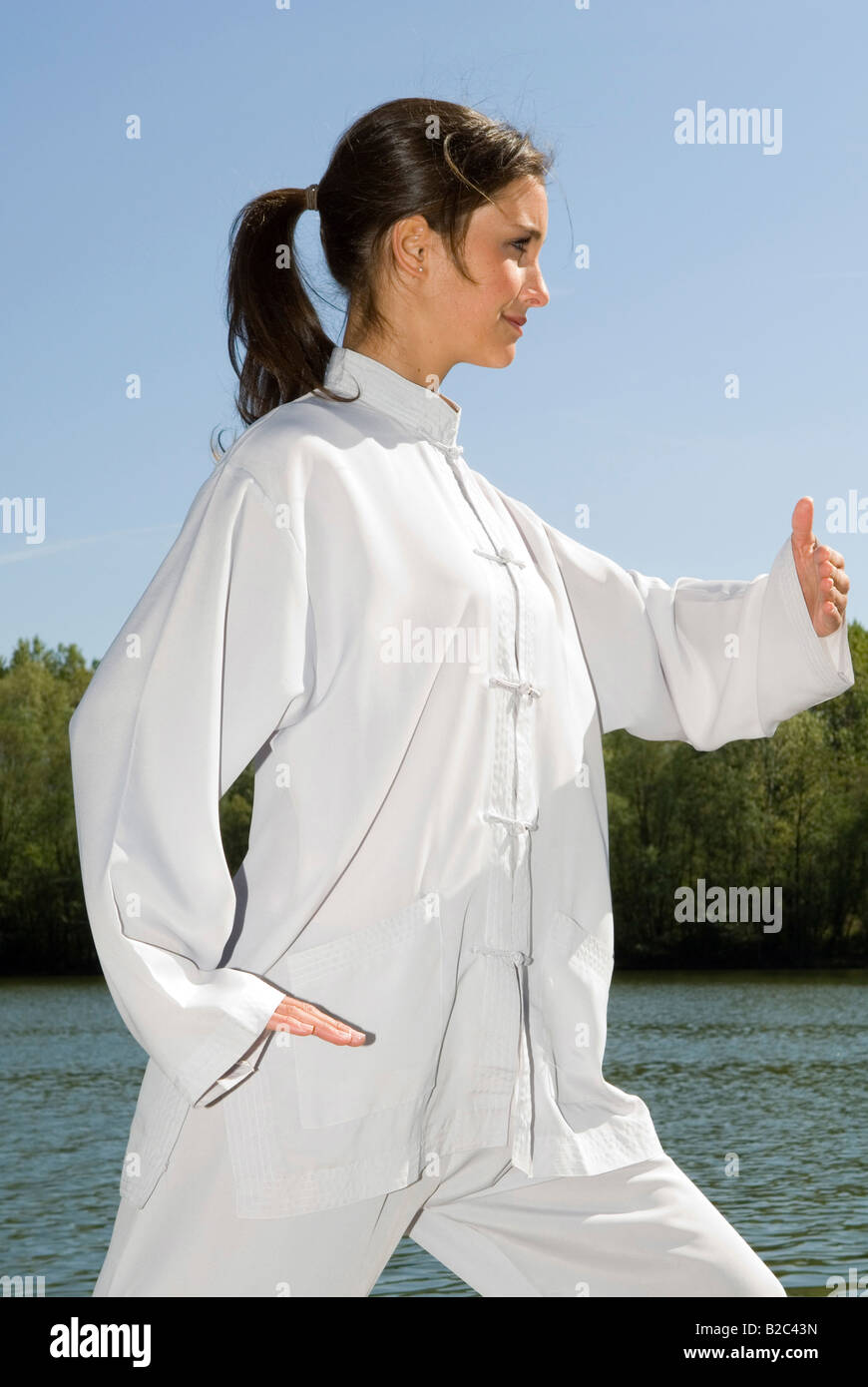 Tai Chi, grasp birds tail Stock Photo - Alamy