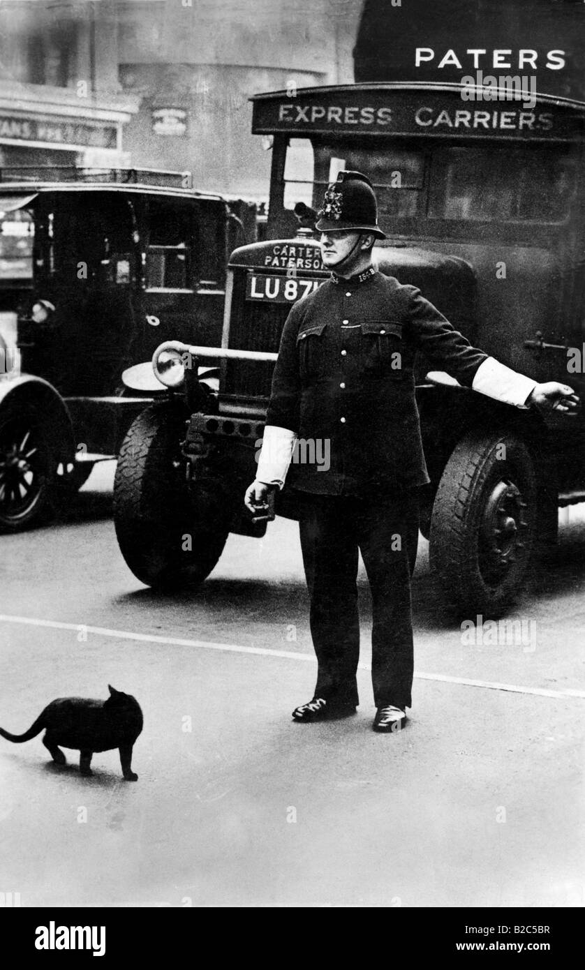 Traffic policeman stopping cars to let a cat cross the road, historic picture from about 1920 Stock Photo