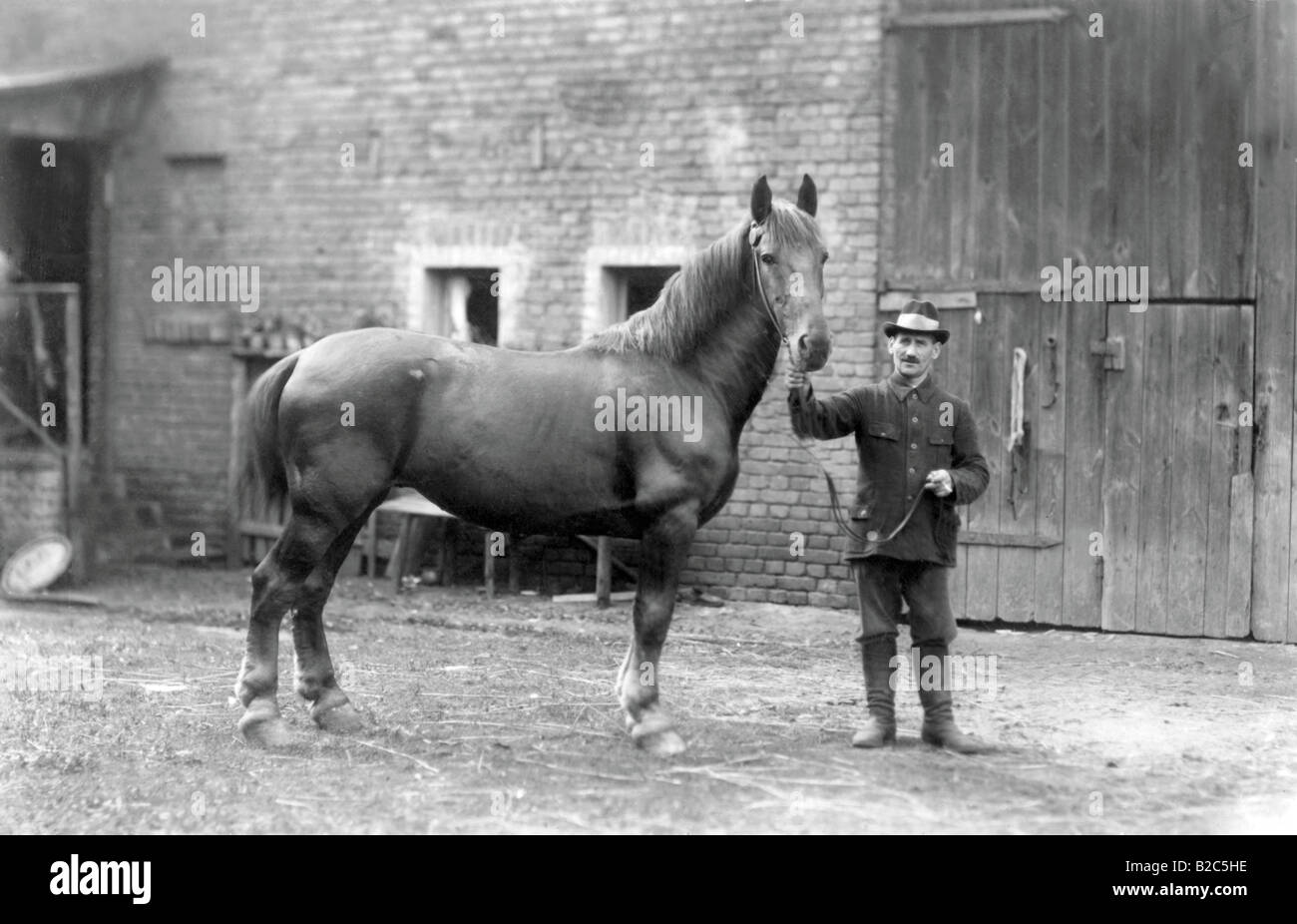 Man with a horse, historical photo, circa 1910 Stock Photo