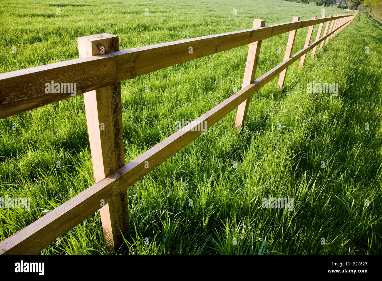 A post and rail fence illustrating perspective, West Sussex, England. Stock Photo