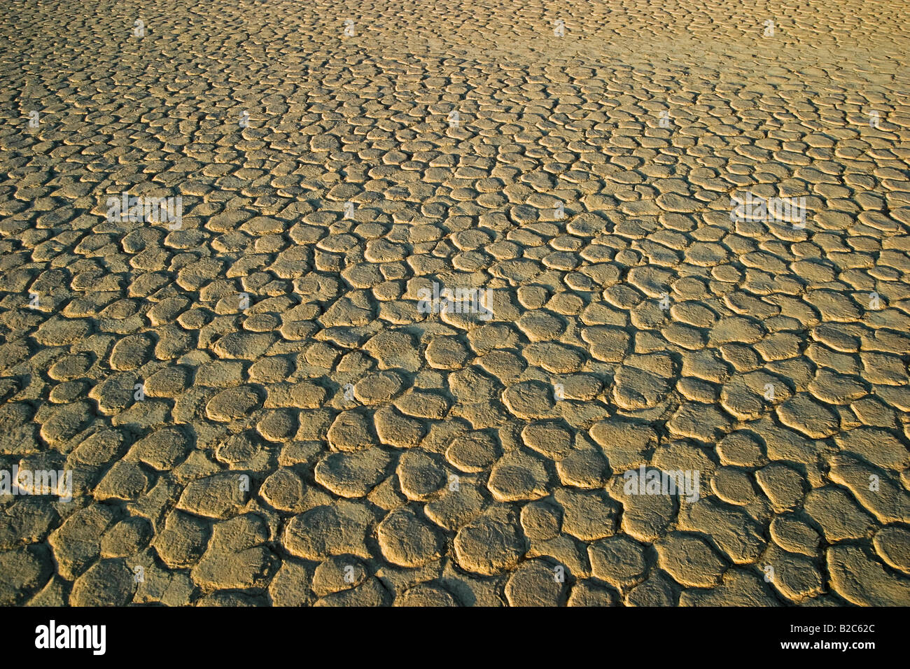 Parched clay soil, Deadvlei, Namib Desert, Namibia, Africa Stock Photo