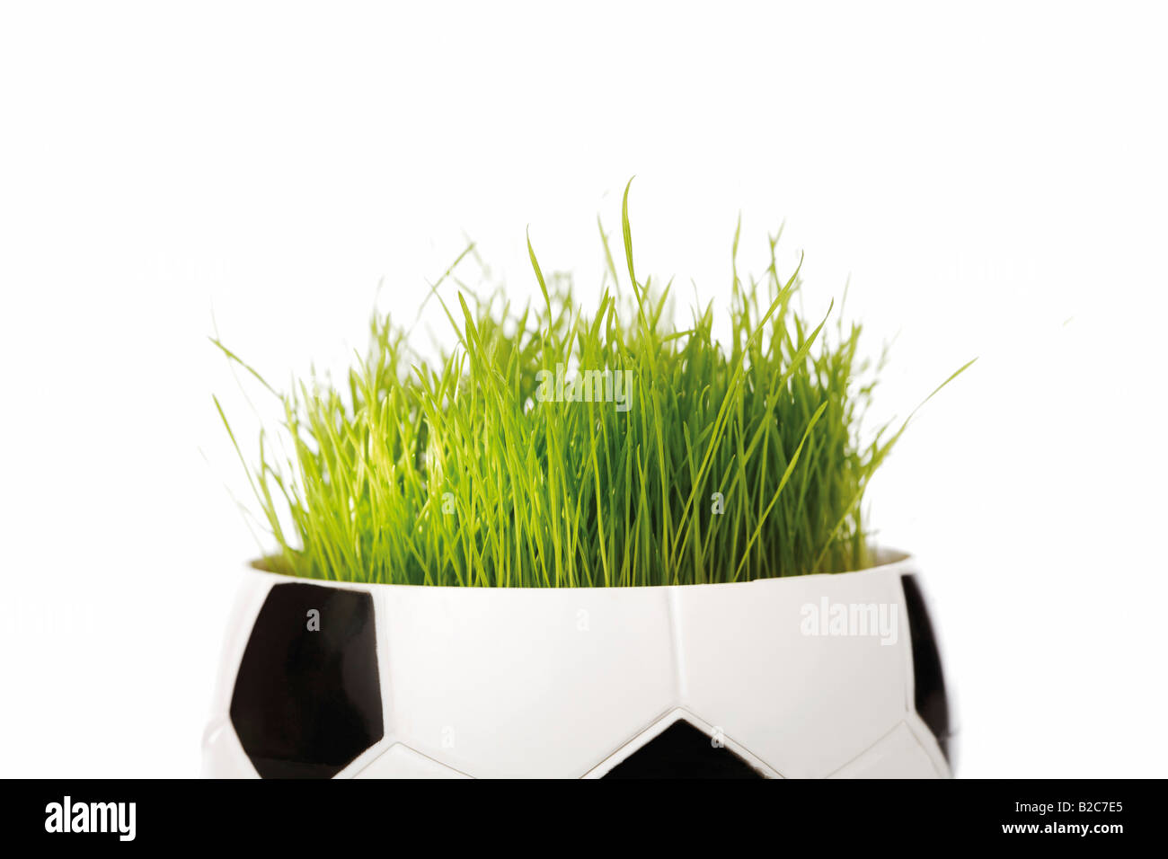 Half a football with original football pitch grass from the World Cup Stock Photo