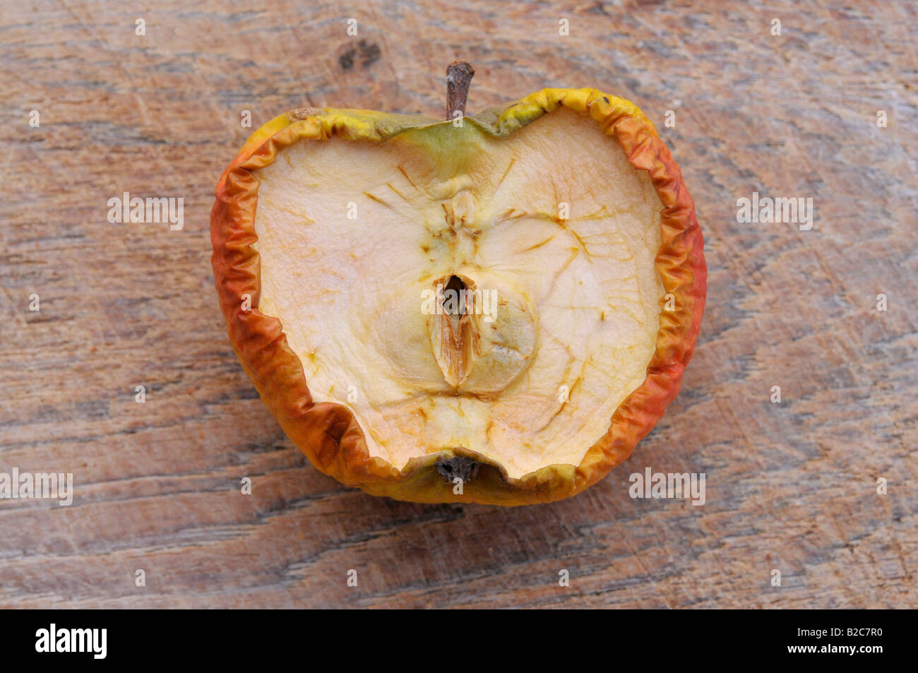 Half of a dried apple Stock Photo