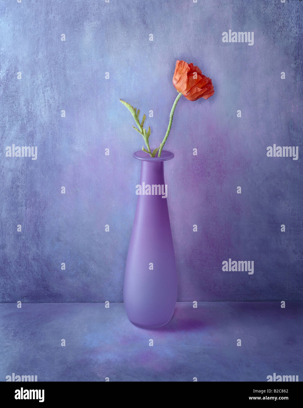 Flower Vase High Resolution Stock Photography And Images Alamy