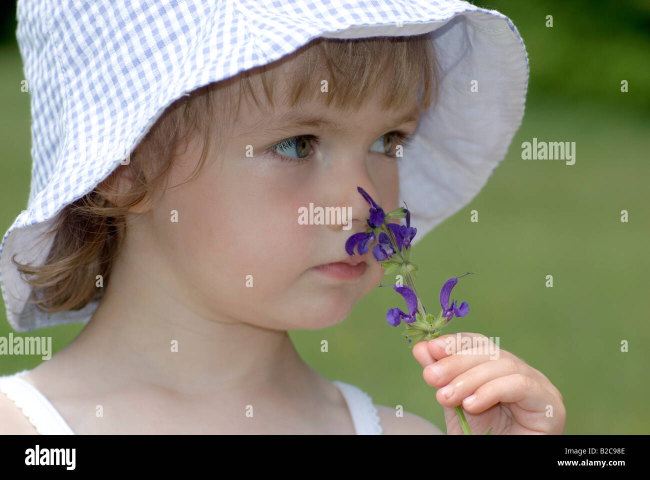 Little Girl in Meadow smelling flower Stock Photo - Alamy