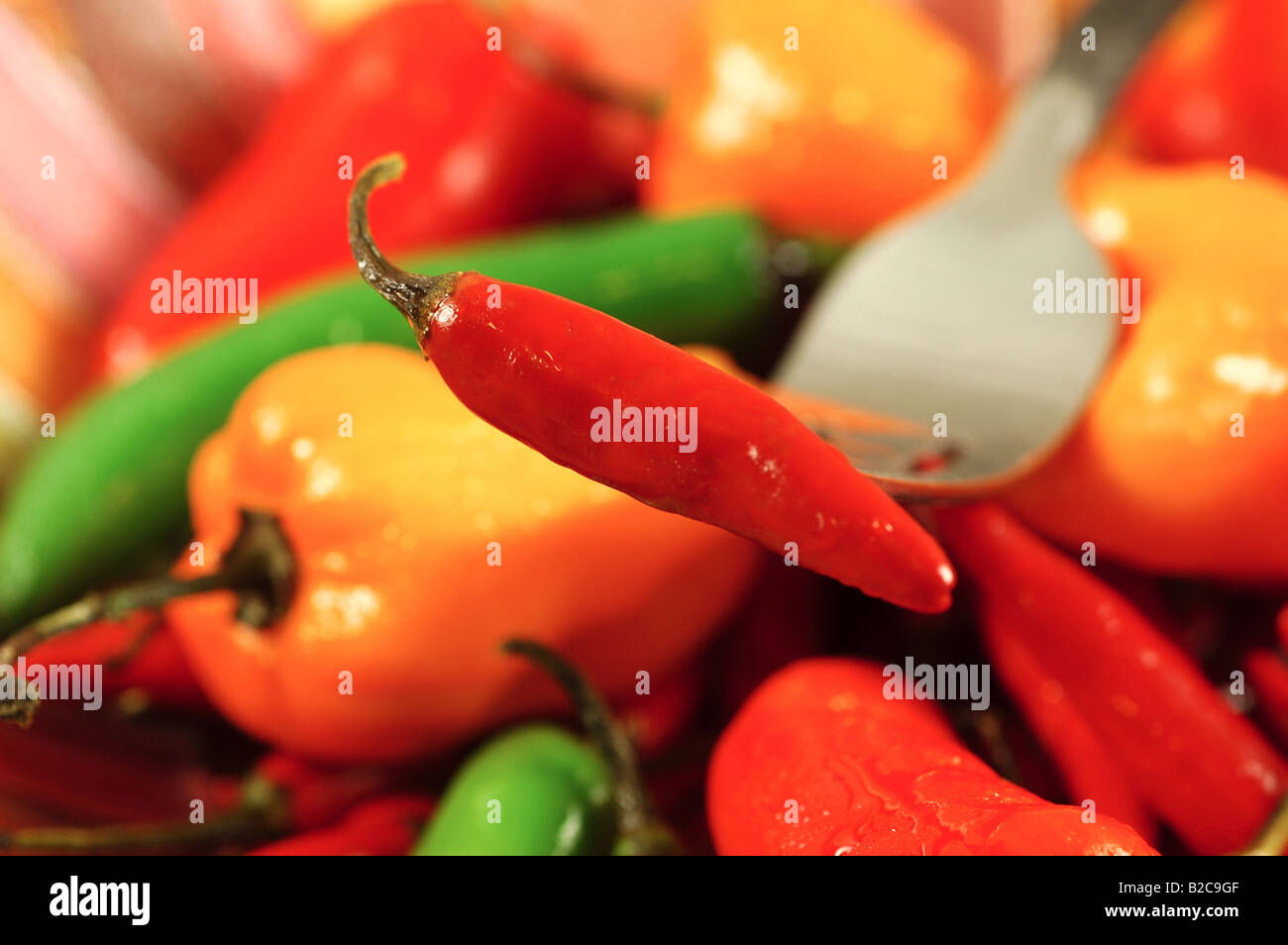 Thai chili on a fork in a festive bowl filled with a variety of hot peppers shallow depth of field Stock Photo