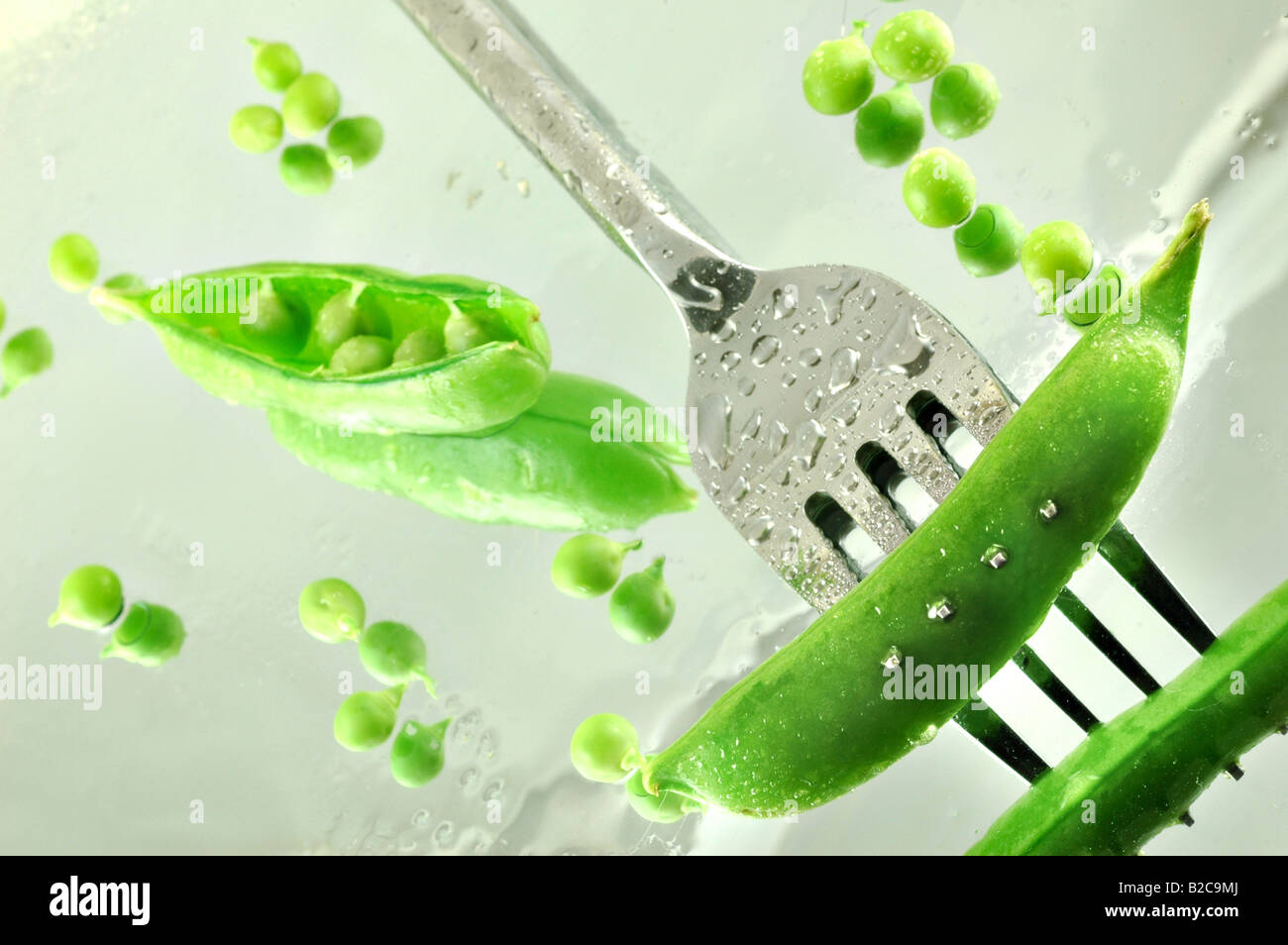 Fresh sugar peas on a mirrored background with a fork Stock Photo