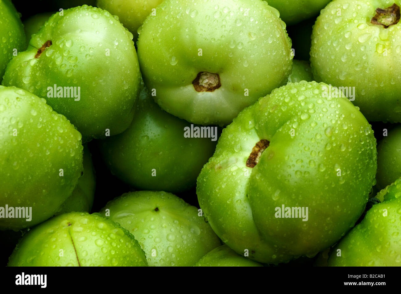 Green tomatoes piled-up for sale at a farmers market Stock Photo - Alamy