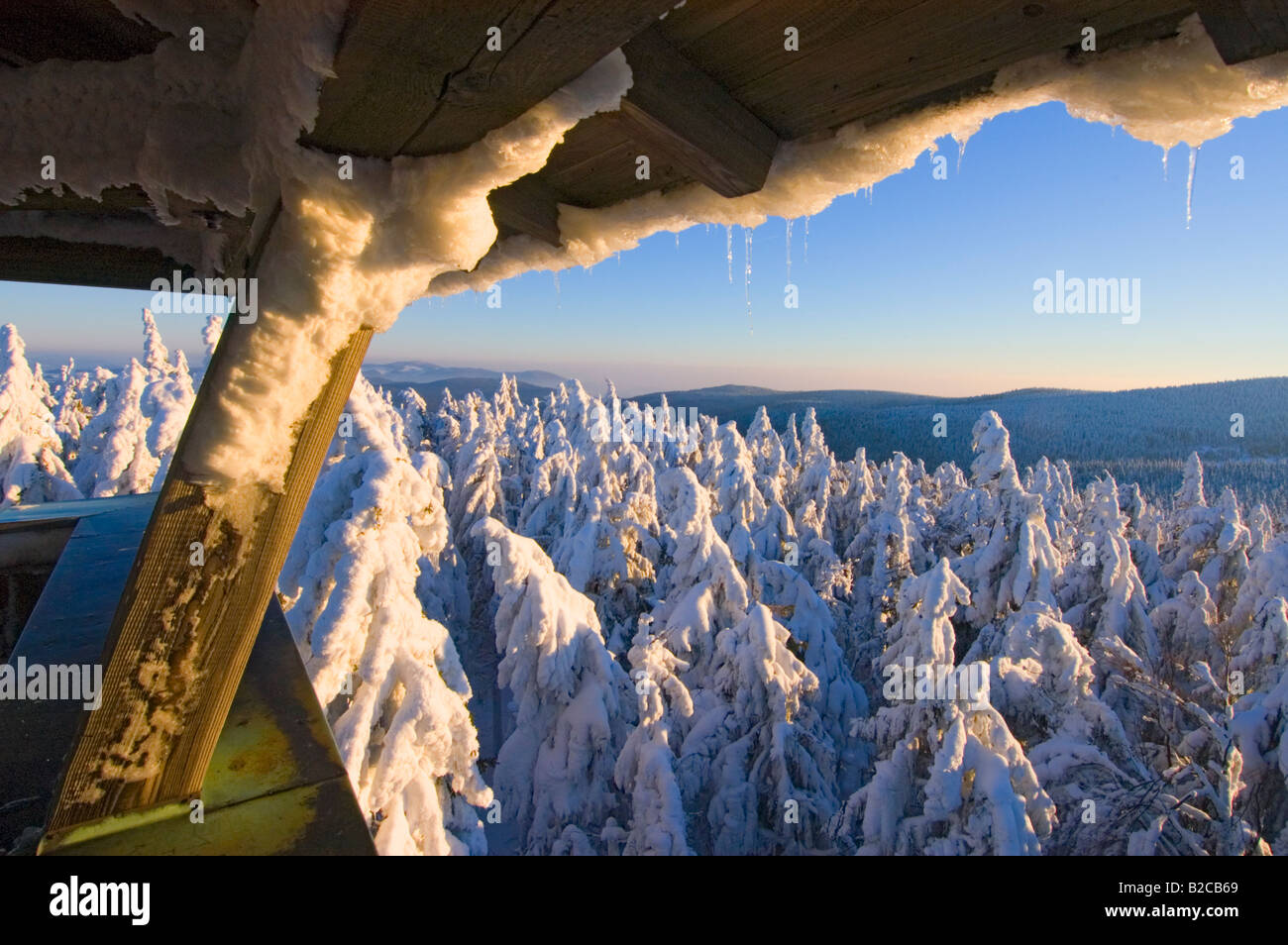 winter time in the bavarian forest europe germany snow covered spruces frost frosty at region named Geisskopf  Bayerischer Wald Stock Photo