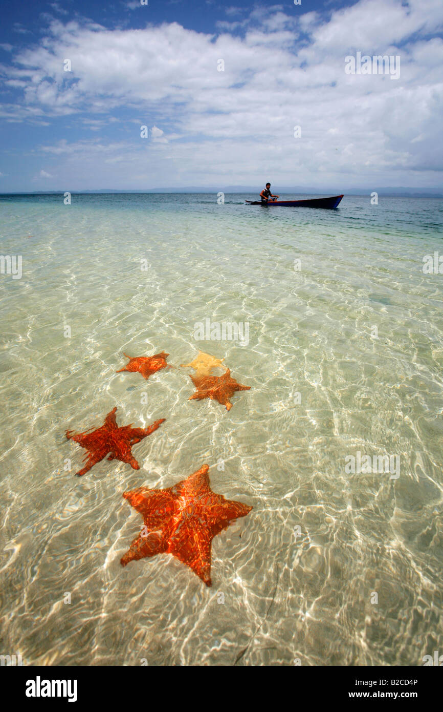 Starfish in Bocas del Toro, Panama, with boy in dugout canoe behind Stock Photo