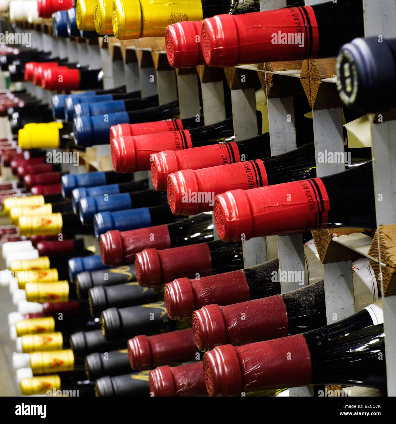 fine wine bottles rack Stock Photo Alamy