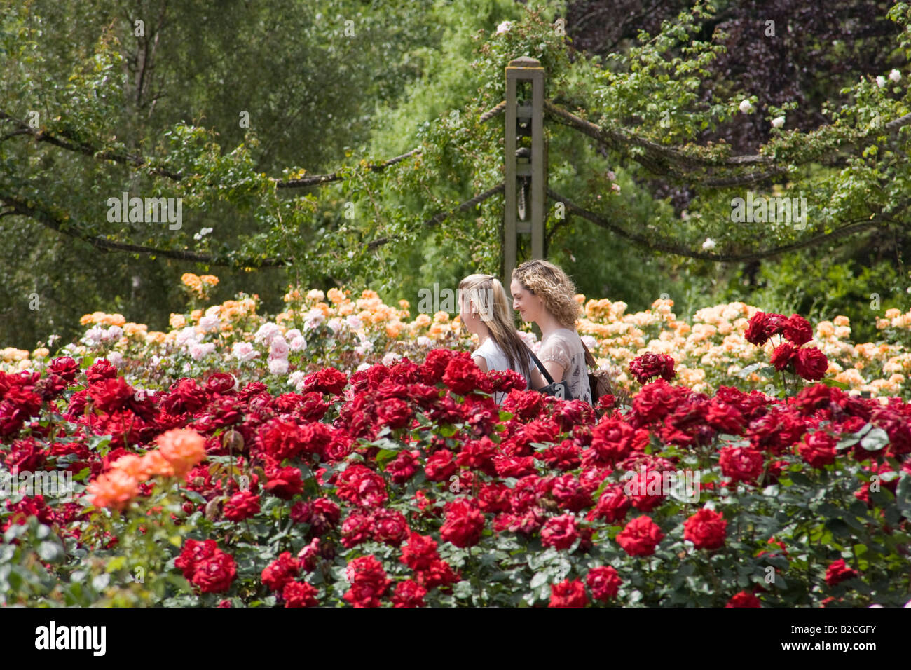 Two women in Rose Garden. Inner Circle, Regent's Park, London, England Stock Photo