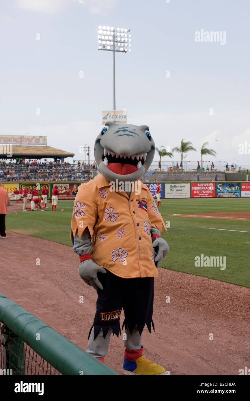 Phinley, the Clearwater Threshers Minor League Baseball Team Mascot Stock  Photo - Alamy
