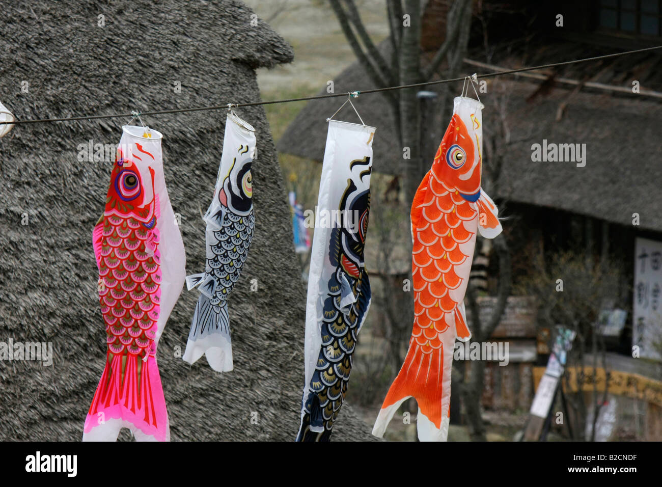 Japan fish flag set. Flying or carp streamers for japanese childrens day  vector illustration Stock Vector Image & Art - Alamy