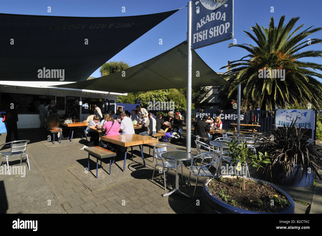 New zealand akaroa fish hires stock photography and images Alamy