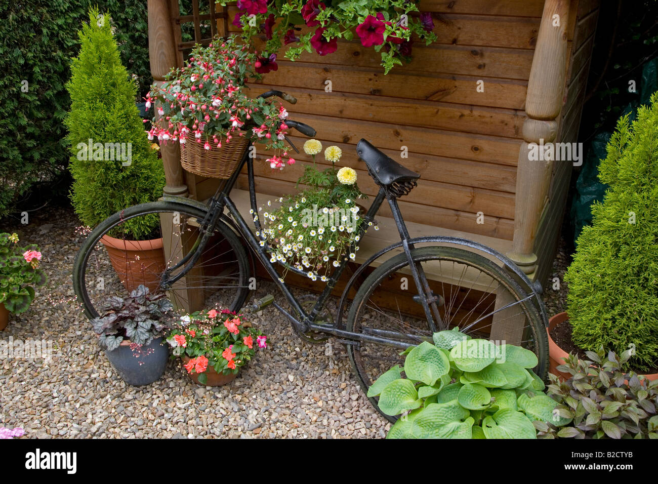 Old bike and flowers in Cottage Garden Norfolk Stock Photo - Alamy