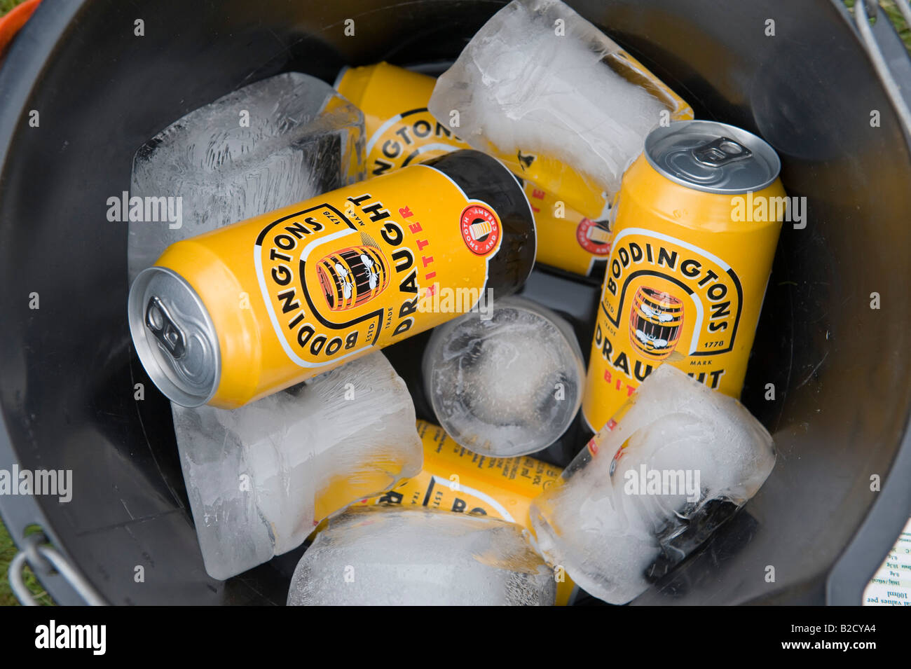Cans of Boddington's draught beer cooling in a bucket of ice at a