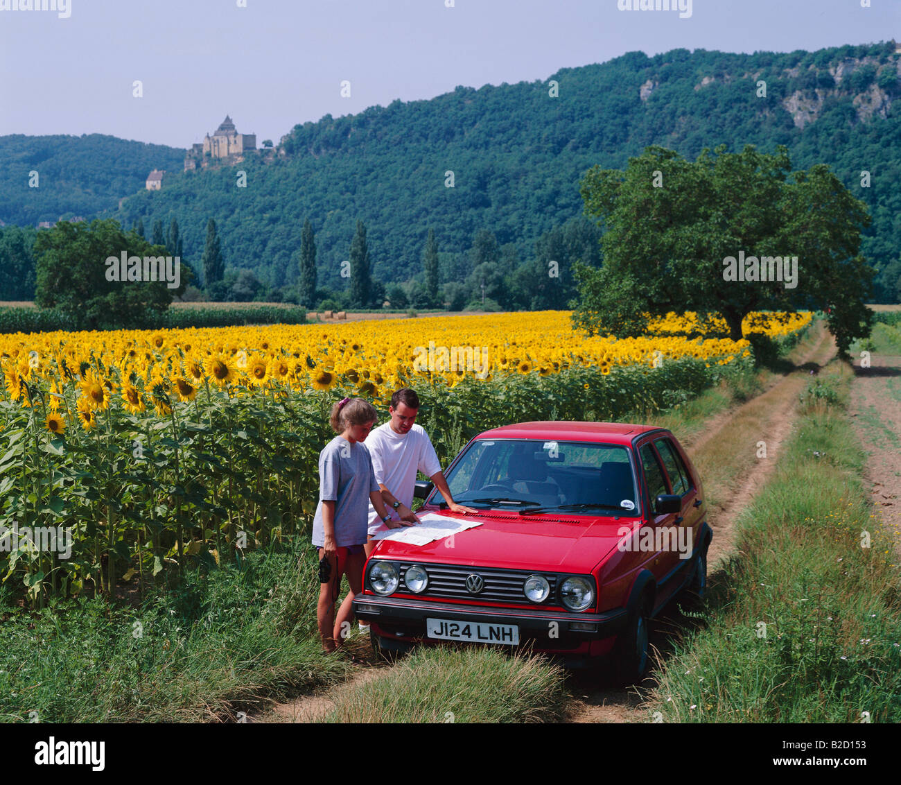 Car in sunflower field France, The Dordogne Stock Photo