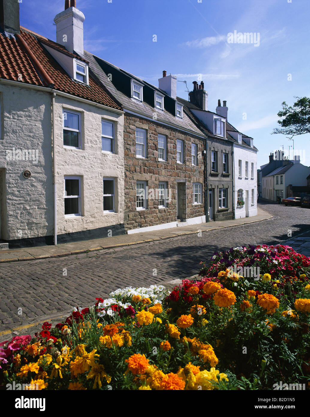 Typical Houses UK Channel Islands, Alderney Stock Photo Alamy