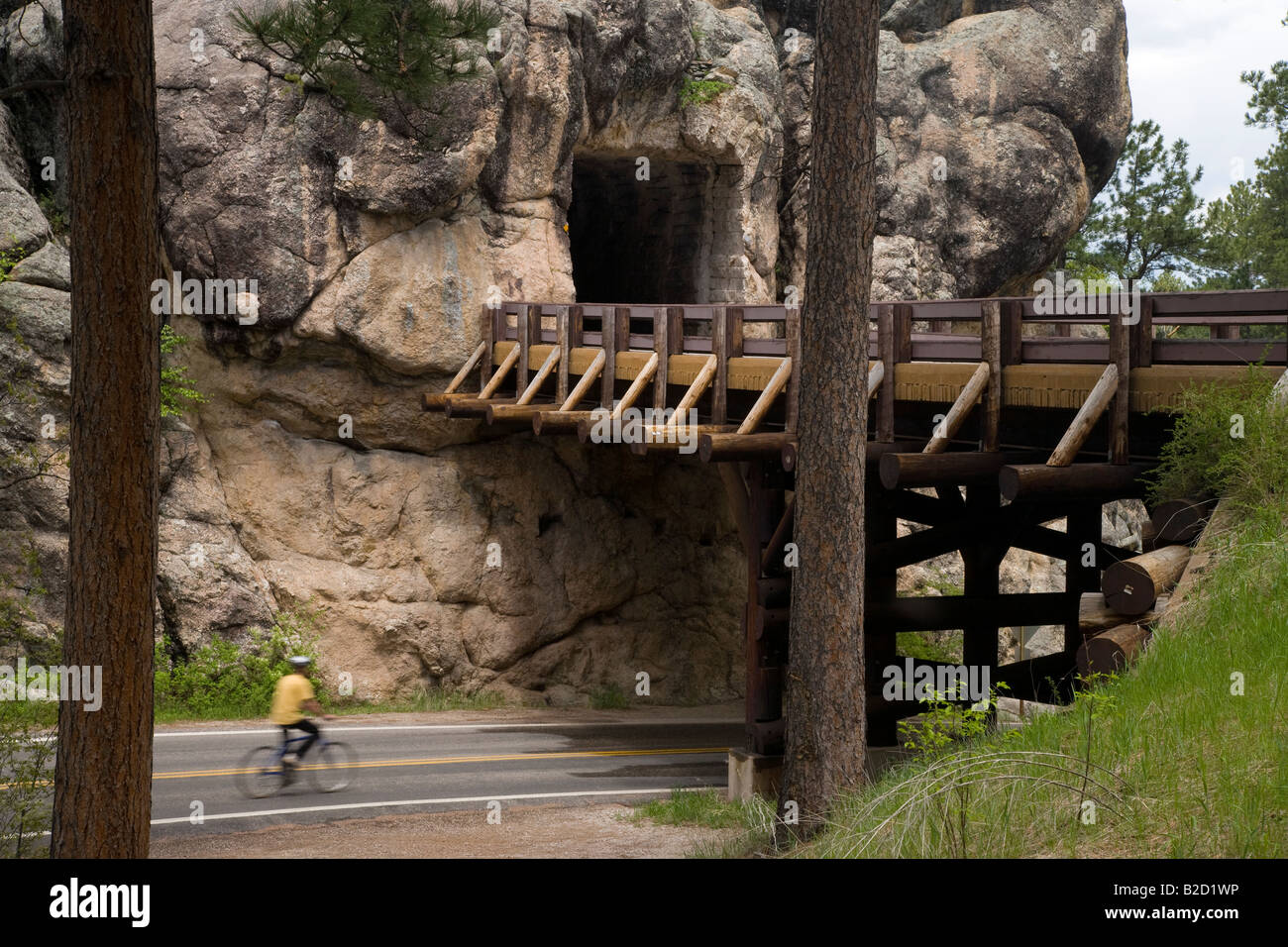 Bicyclist on the Peter Norbeck Scenic Byway, Iron Mountain Road, Black Hills National Forest, South Dakota Stock Photo