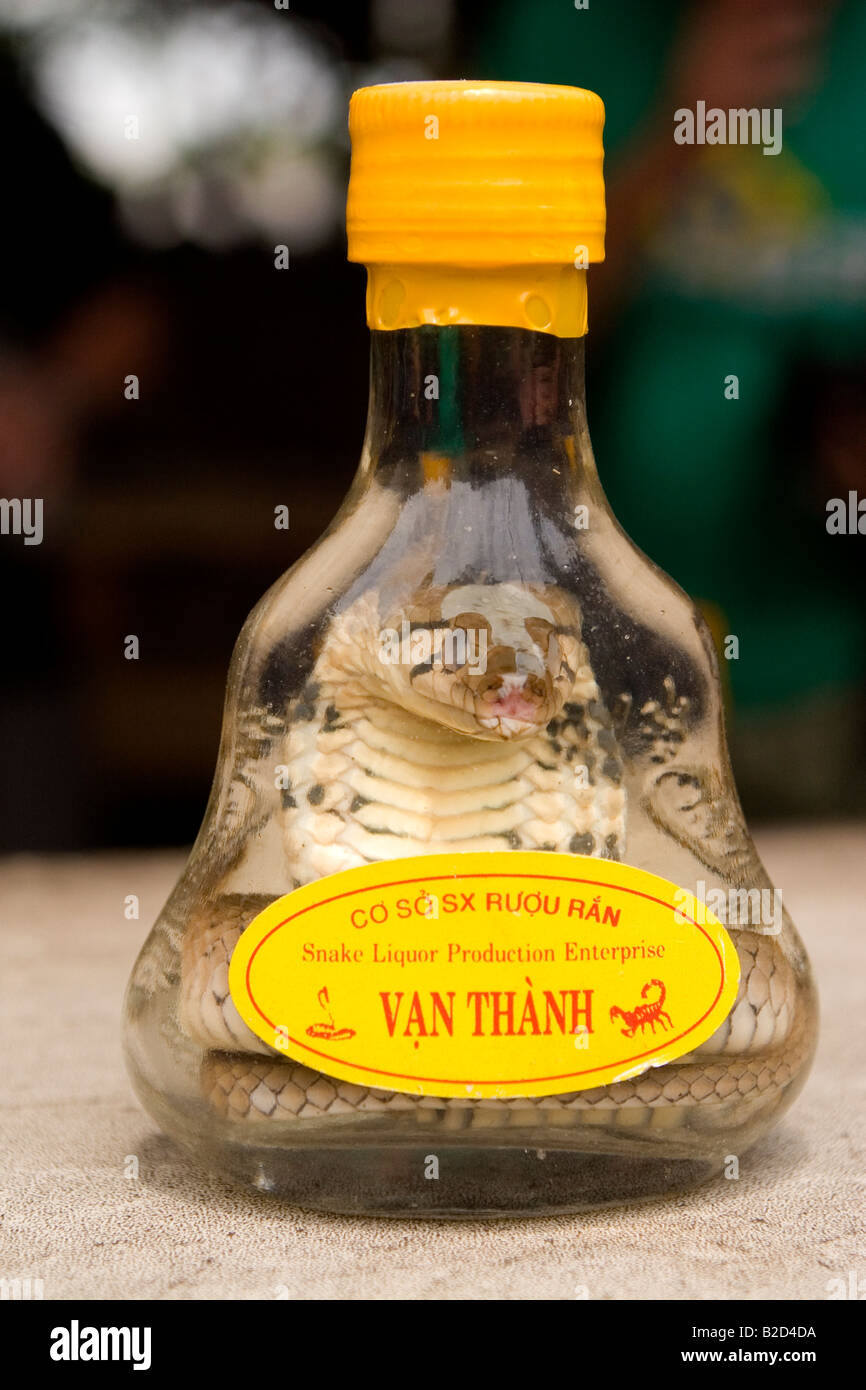 A bottle of snake liquor is offered for sale in the Mekong Delta of