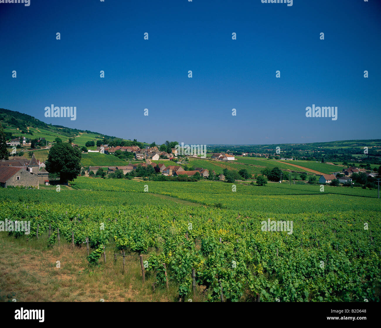 France, Burgundy Stock Photo