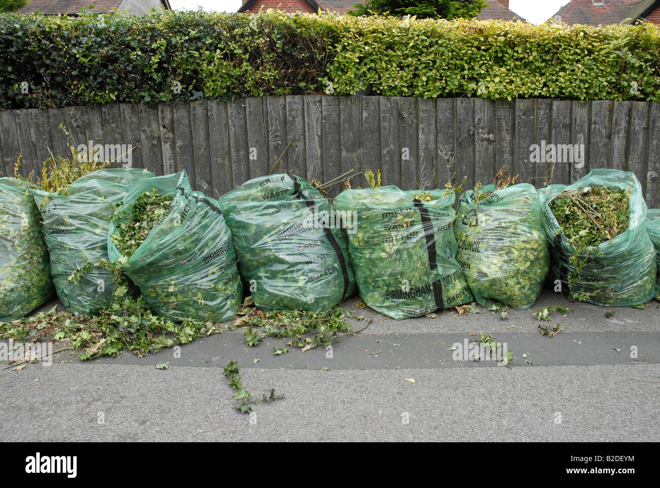 Garbage bags on green yard Stock Photo by ©ekarina 66088493