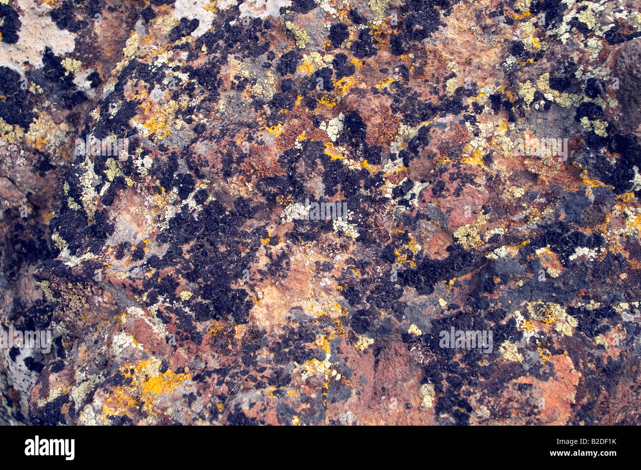 Rock Texture Rust and Black agate Stock Photo