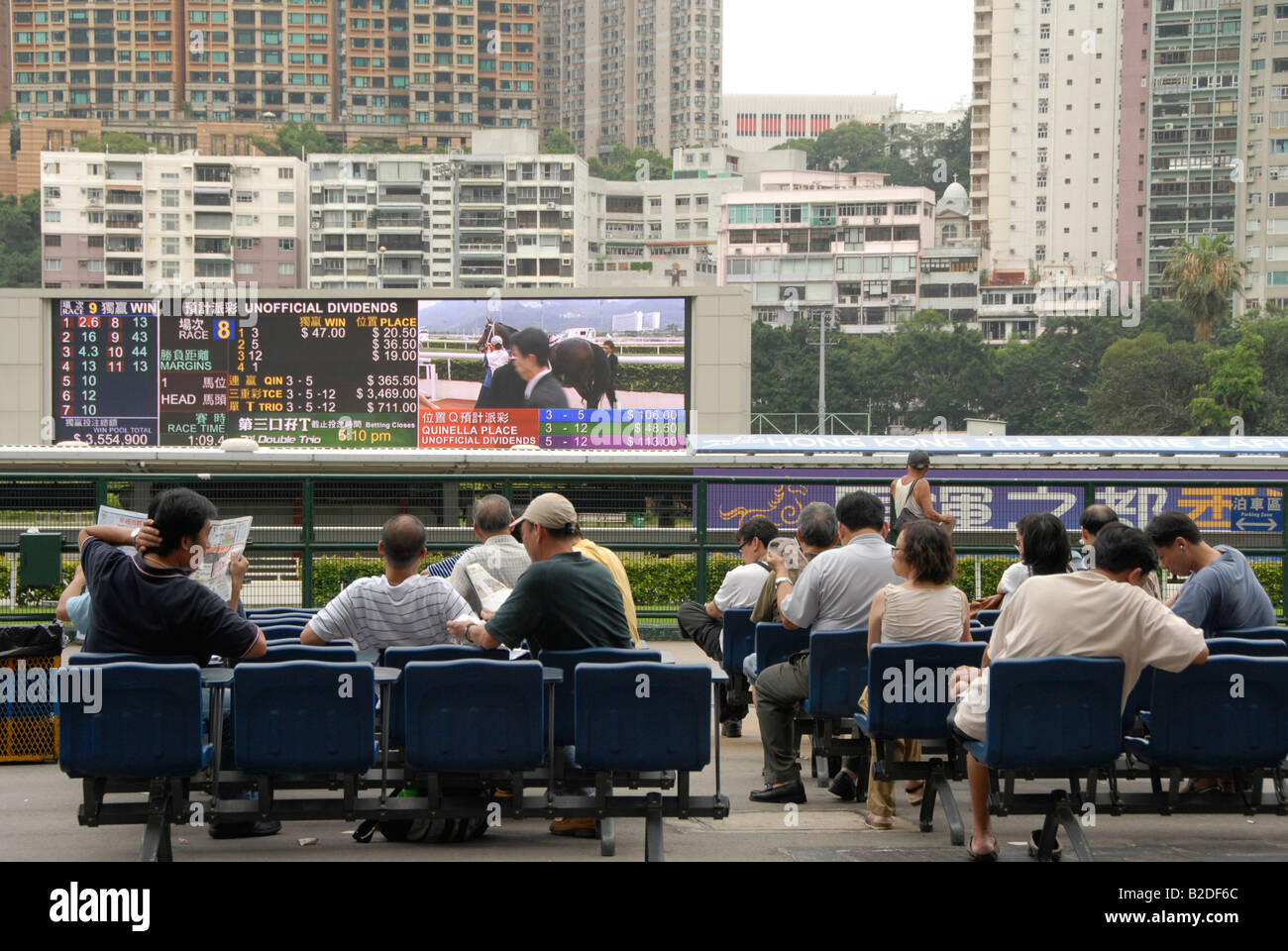 gamblers on a sunday afternoon , happy valley race course , hong kong island Stock Photo