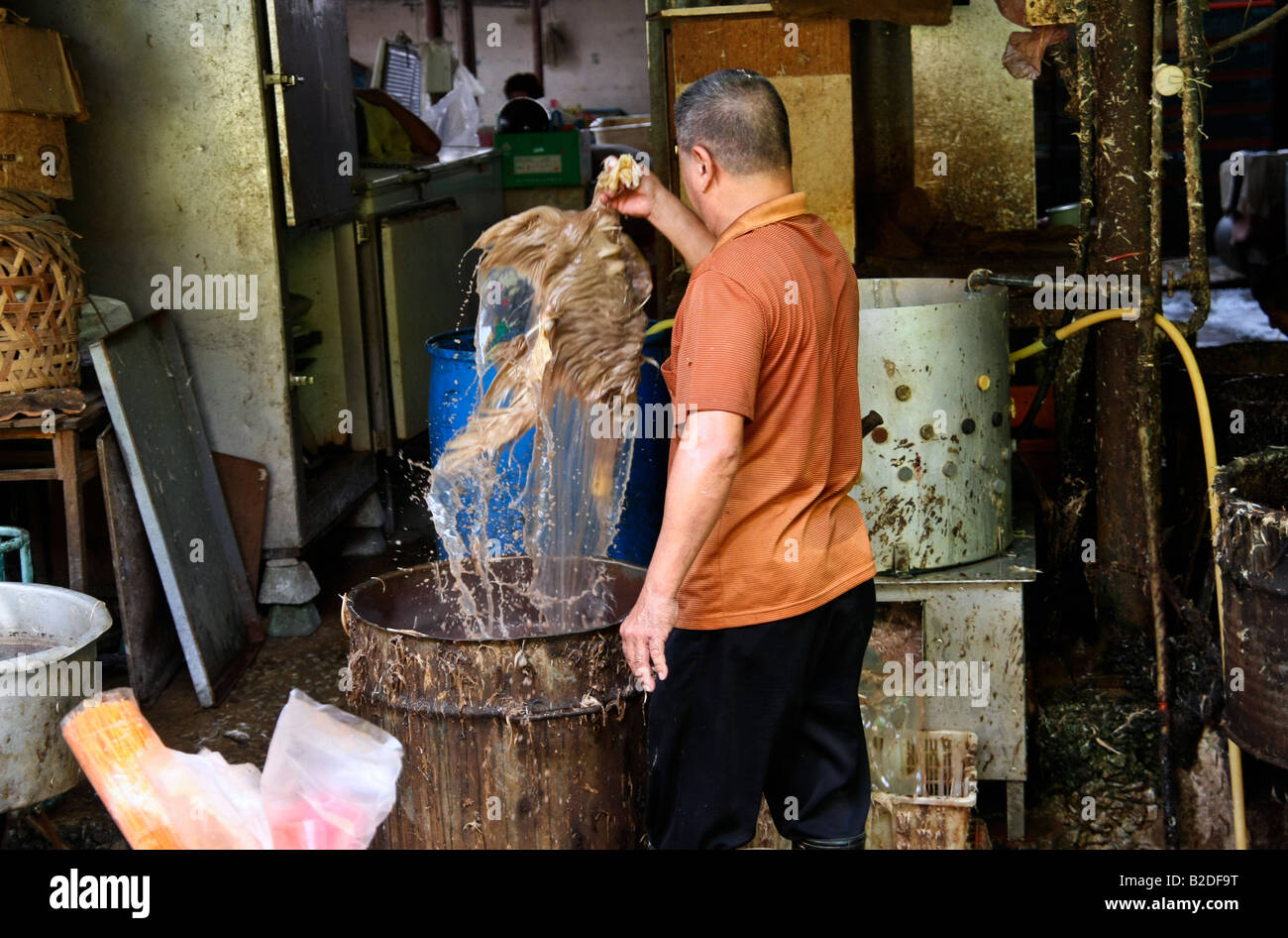 a Duck being dipped into boiling water in penang Malaysia Stock Photo