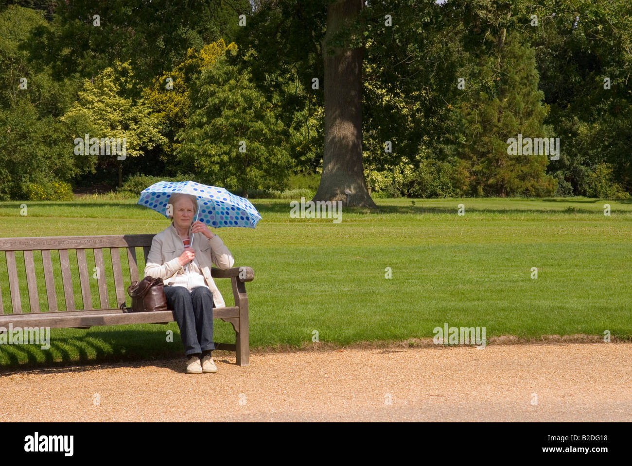 Old Lady Sitting On Bench High Resolution Stock Photography and Images