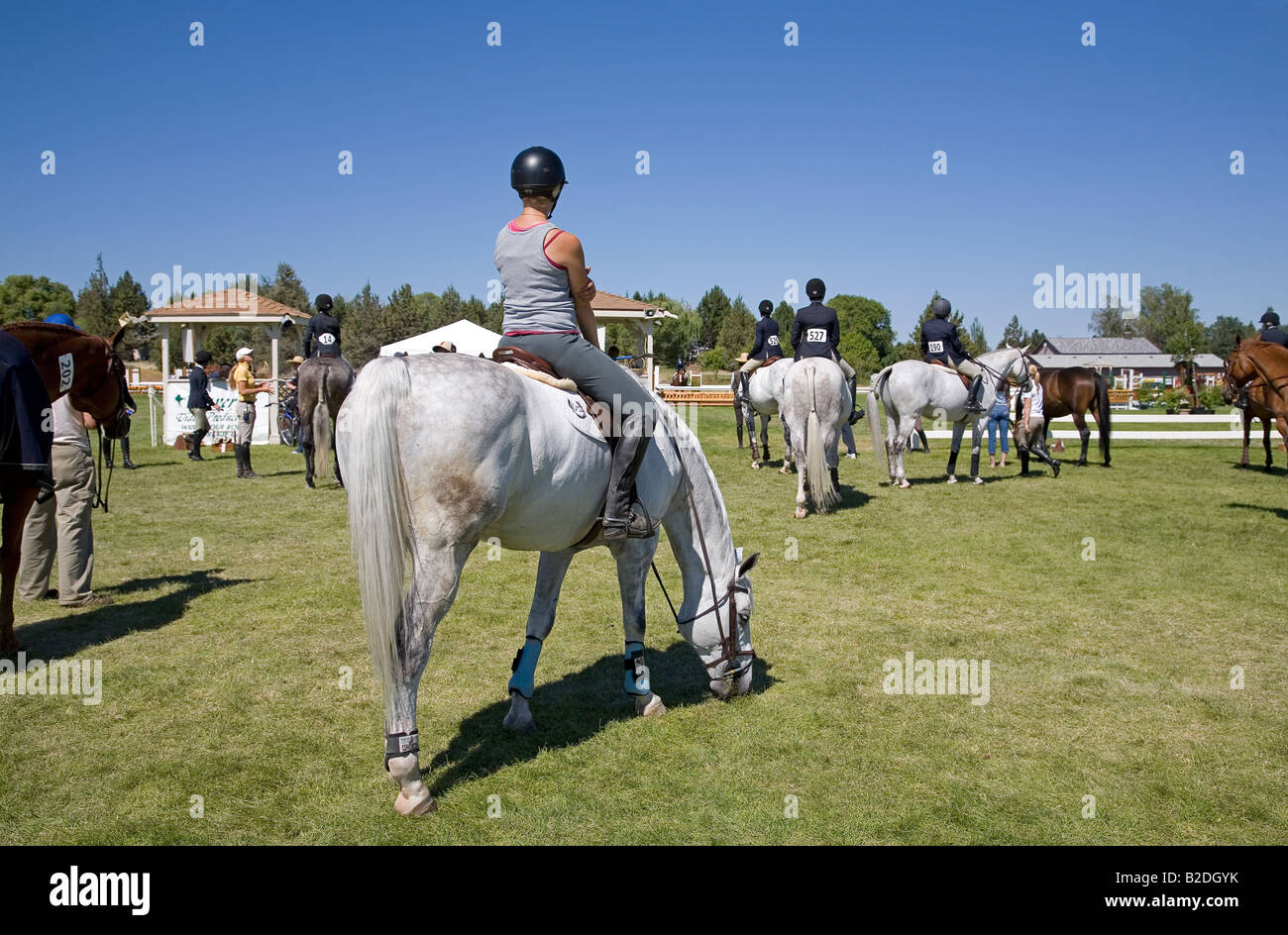 Riders waiting at the hunter jumper ring during an equestrian competition at the High Desert Classic an equestrian event Stock Photo