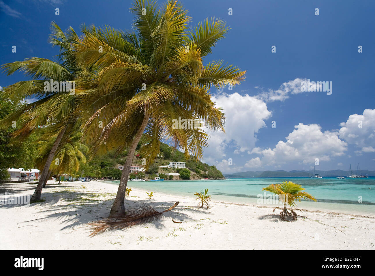 Great Harbor Jost Van Dike British Virgin Islands Stock Photo - Alamy