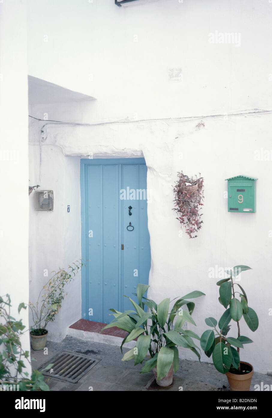 Green plants in pots in front of blue door of white Spanish village house Stock Photo