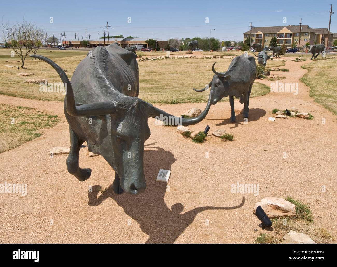 Texas Lubbock National Ranching Heritage Center Museum Bronze Steers sculpture Stock Photo