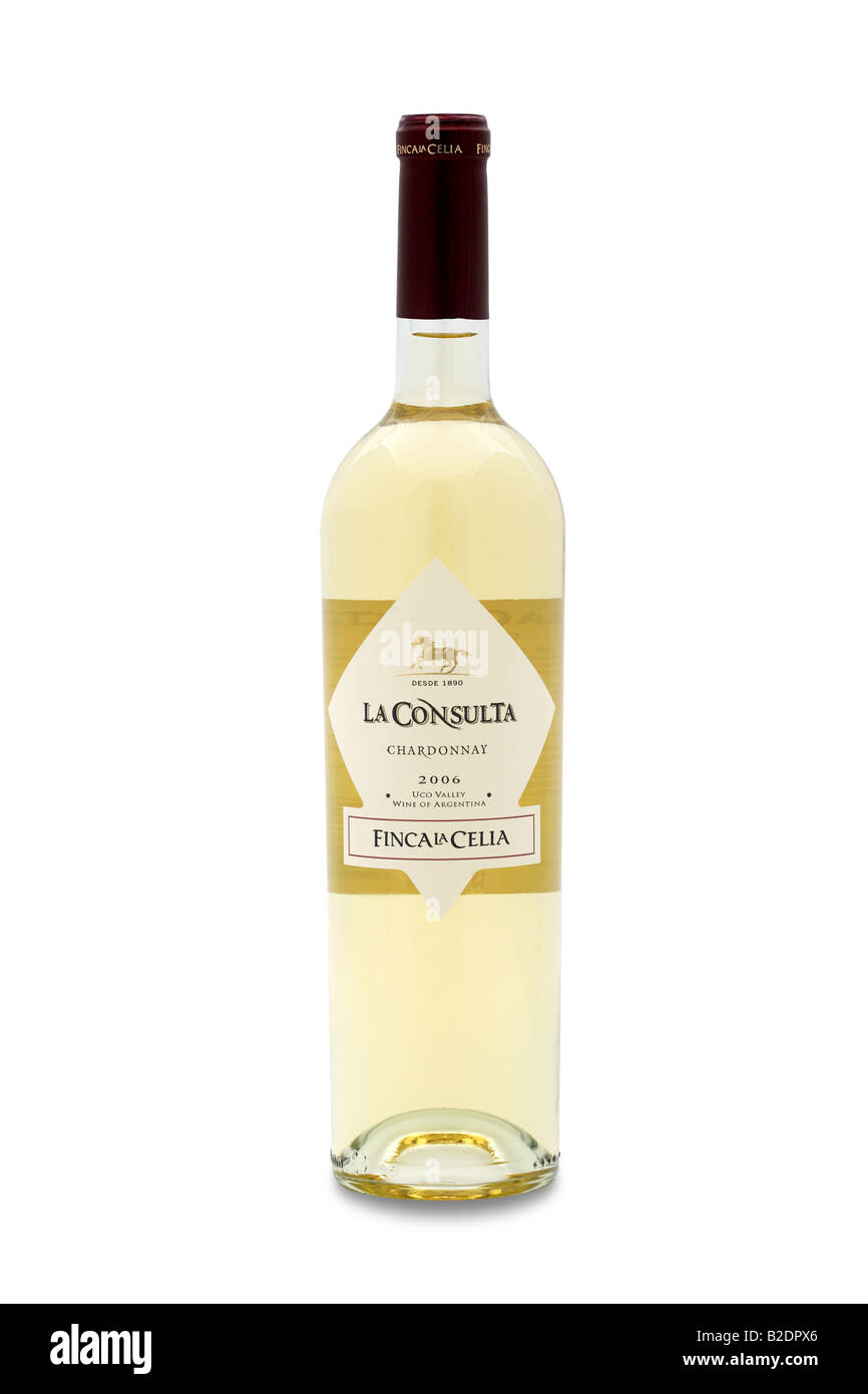 la consulta chardonnay uco valley wine of argentina finca la celia Stock Photo