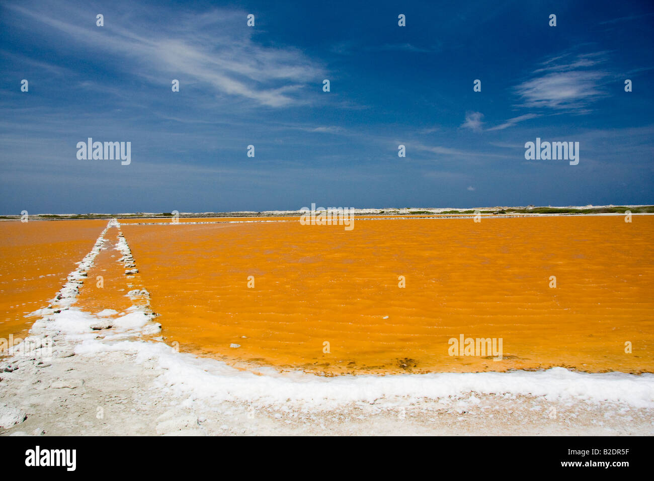 Salt crusted shoreline of a salt pan near Lac Bay, Bonaire Island, Netherlands Antilles, Caribbean. Stock Photo