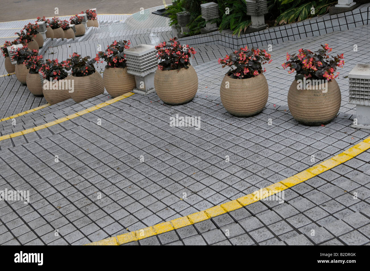 plant pots leading into hong kong park' hong kong , china Stock Photo